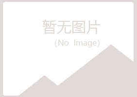 临川晓夏金属有限公司